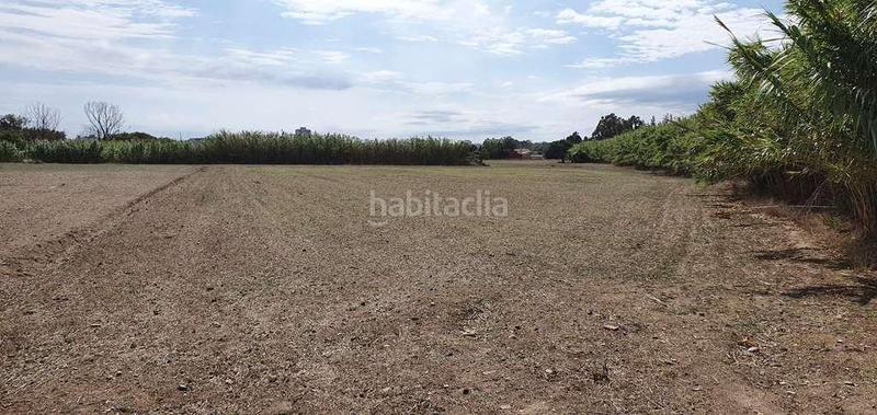 Foto c9edc700-e6f2-4e6f-9d97-2049573a513e. Wohngrundstück in concepció cruañas 12 in Sant Joan - Vilarromà Palamós