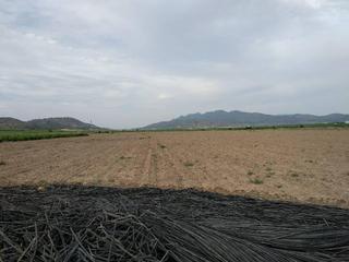 Residential Plot  Hoyas del carche polig.34. Terreno en venta