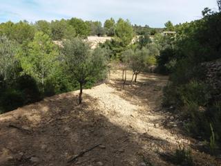 Finca rústica a Partida raco de la olivera pol 11 parc 278 s/n. Terreno en venta