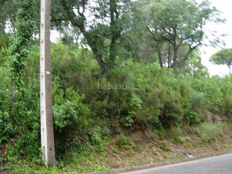 Foto 104cb0e9-452a-460a-a601-184e50af7b78. Residential plot in santa elena 587 in Montbarbat Maçanet de la Selva