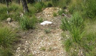 Terrain résidentiel à Del pi 8. Terreno en venta
