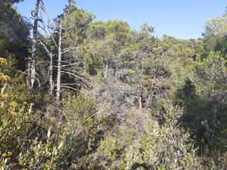 Terrain résidentiel à Ample 13-15. Terreno en venta