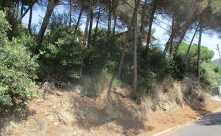 Terreny residencial a Tibidabo 4. Terreno en venta