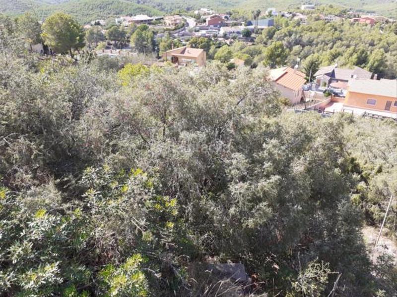 Foto 1cfee29b-cdba-45c9-962b-3c028d88195f. Wohngrundstück in tordera 10 in Bisbal del Penedès (La)