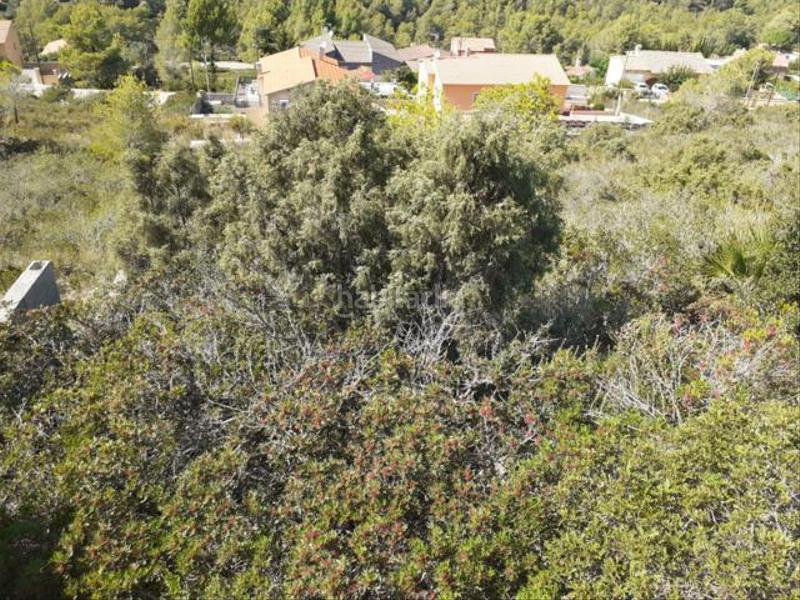 Foto c8a626ad-7faf-4d01-ac5e-d8884557f139. Wohngrundstück in tordera 10 in Bisbal del Penedès (La)