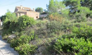 Terreny residencial a Figuera 50. Terreno en venta