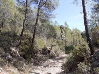 Finca rústica a Murtera 47. Terreno en venta
