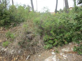Terreno residencial en Joan miro 450-c. Terreno en venta