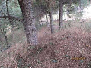 Terreny residencial a L`ermita de la sala parcela 46. Terreno en venta