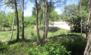 Residential Plot in Llibertad 4. Terreno en venta
