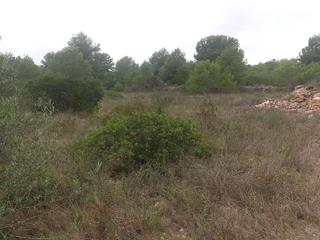 Residential Plot in Sur 10. Terreno en venta
