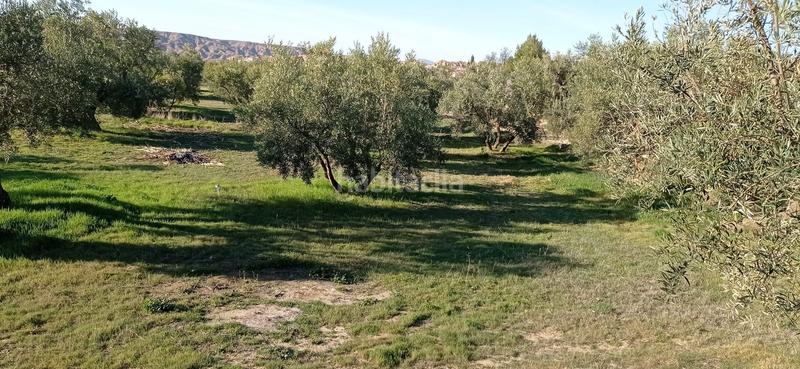 Foto 1225ff02-f32f-4aa7-a7f1-28ee2863e5aa. Finca rústica en paraje ciguirre 1 terreno en venta en Lugros