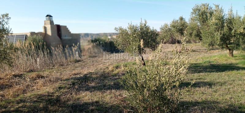 Foto 45a910e3-a653-40ec-b06c-5974857ceae0. Finca rústica en paraje ciguirre 1 terreno en venta en Lugros