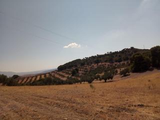 Finca rústica a Cortijo la hurraca s/n. Terreno en venta