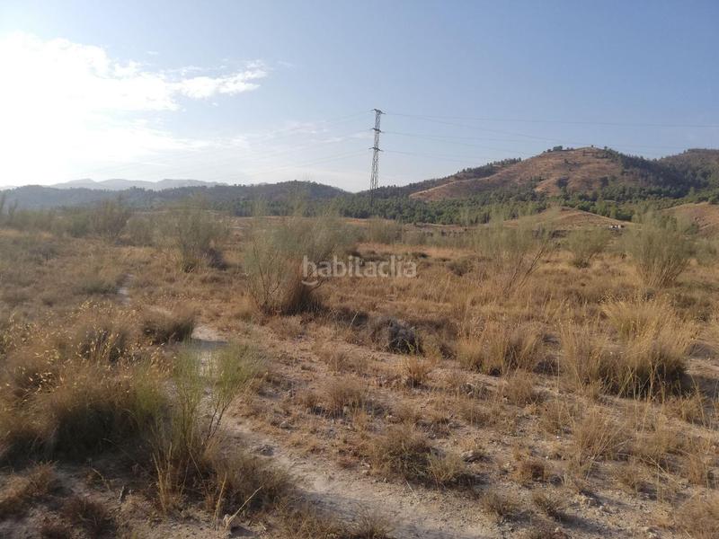 Foto 2a79d640-2e5e-4540-bbc0-d72eaca01a53. Landgut in juan galera pol. 9 - p in Purchena