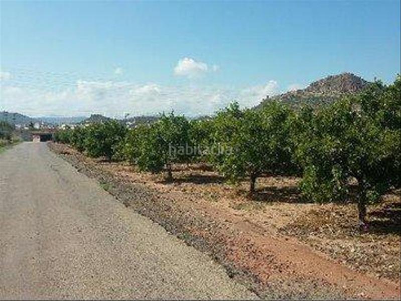 Foto ce3da351-14f0-4f65-91f0-33f695129239. Finca rústica a 12 - ponto s/n a Almenara