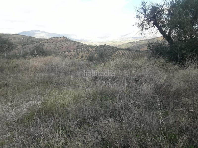 Foto 1a86e622-14a8-4d9f-a418-79f23e66dc6e. Finca rústica en los frailes 124 terreno en venta en Cútar