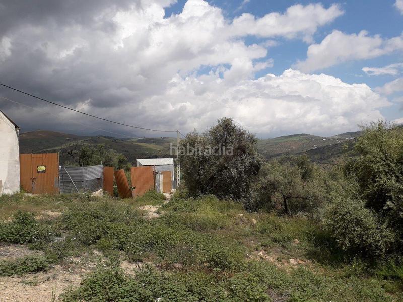Foto 237ae939-e893-43f1-bab6-222aedb9bad1. Finca rústica en los frailes 124 terreno en venta en Cútar