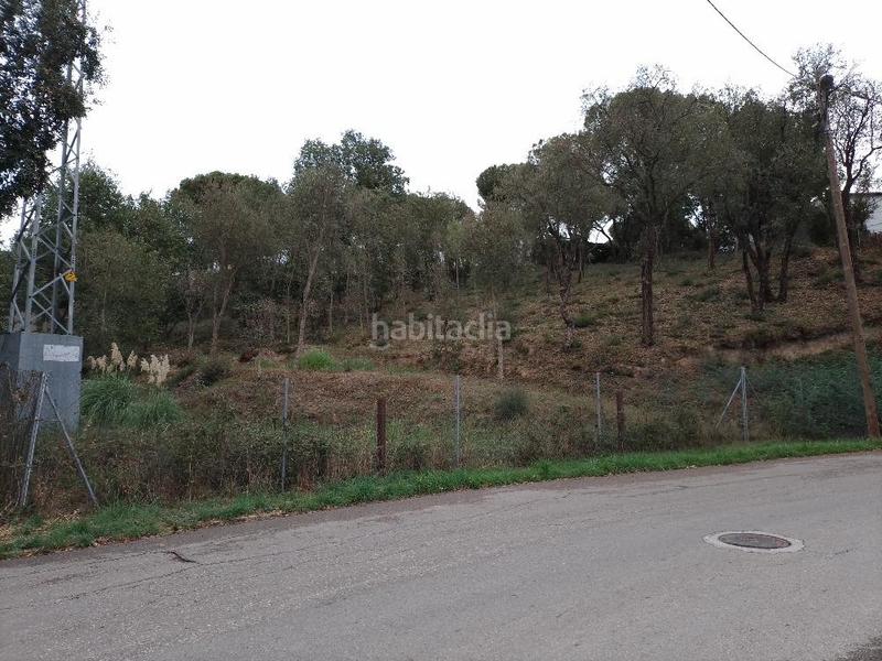 Foto 0a9cd89a-162a-45f7-a318-6f4a7b14d050. Terreny residencial a Mas Altaba - El Molí Maçanet de la Selva