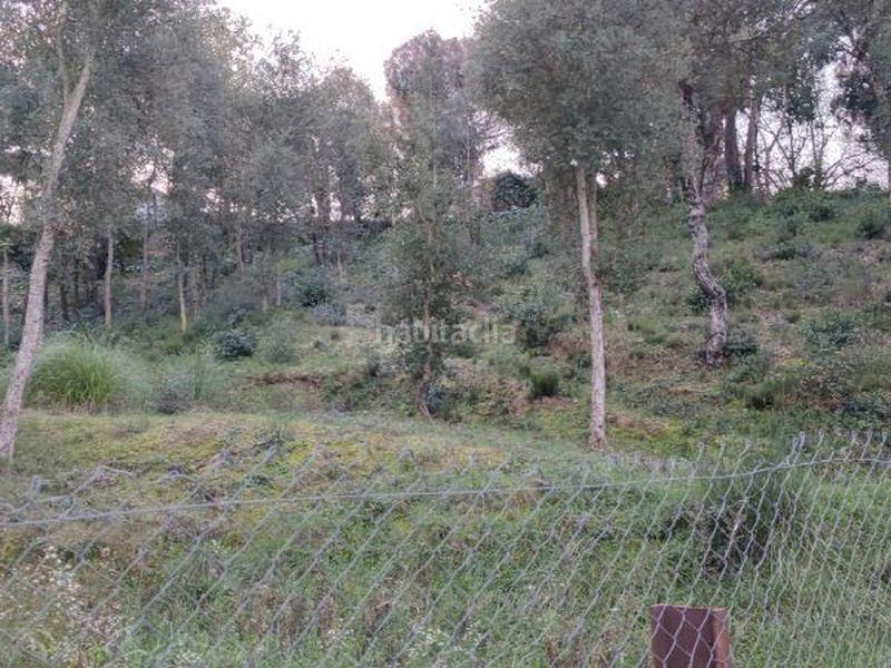 Foto 3250ddb4-f1cc-44f5-9a0d-c1d52c4b2c9d. Terreny residencial a Mas Altaba - El Molí Maçanet de la Selva