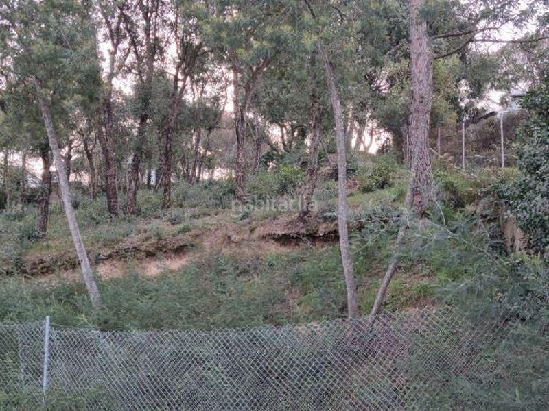 Foto 476f893c-453a-4313-b028-2949a0a321d5. Terreny residencial a Mas Altaba - El Molí Maçanet de la Selva