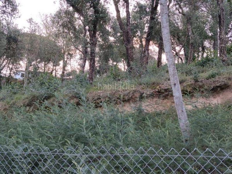 Foto 86a21988-42c7-45fa-acc4-9306563aa376. Terreny residencial a Mas Altaba - El Molí Maçanet de la Selva