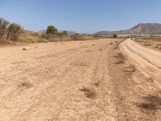 Rural plot in Pedania diputacion de los allozos s/n. Terreno en venta