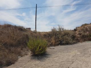 Terreny residencial a De muercia 1. Terreno en venta
