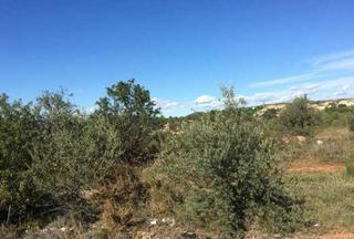 Finca rústica a Partida foya de la correntilla poligono 5. Terreno en venta