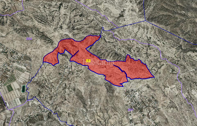 Foto 1156bf12-5b69-4b5e-ad32-4407a49f0366. Finca rústica a monte denominado tosal reó s/n a Mutxamel
