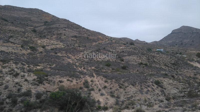 Foto 379e1003-a4ba-470e-8f1f-87a095a27302. Finca rústica a monte denominado tosal reó s/n a Mutxamel