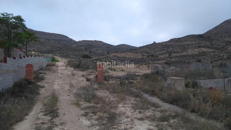 Foto 5add322f-ad77-4ddd-aadb-d4f8b6046257. Finca rústica a monte denominado tosal reó s/n a Mutxamel
