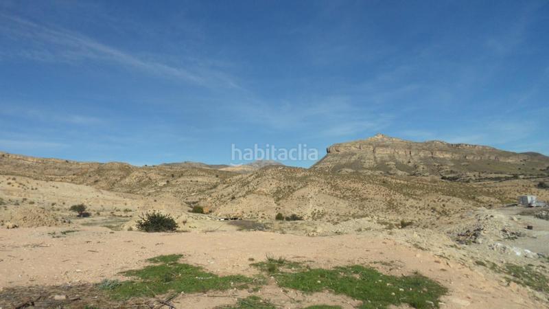 Foto deea8012-70b3-4f3e-b5ee-2aa75af79b82. Finca rústica a monte denominado tosal reó s/n a Mutxamel