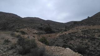 Finca rústica a Monte denominado tosal reó s/n. Terreno en venta
