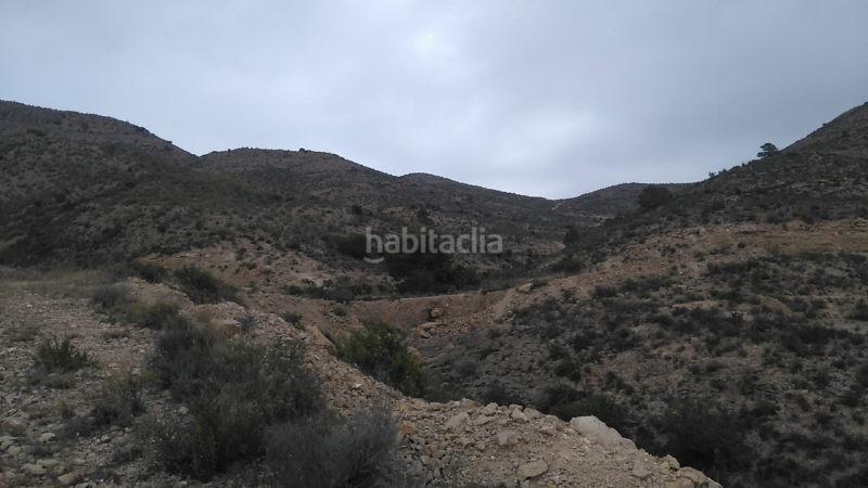 Foto f85c5ddd-25d2-4b13-a57c-a16be364f637. Finca rústica a monte denominado tosal reó s/n a Mutxamel