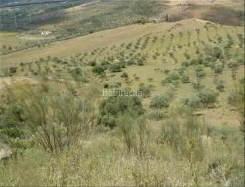 Foto 062c2cb5-4995-47c1-ae39-25734946ef4f. Finca rústica a Álora