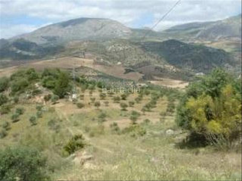 Foto 1e2f5d27-f599-4ec6-990a-e5c29df2b0bc. Finca rústica a Álora