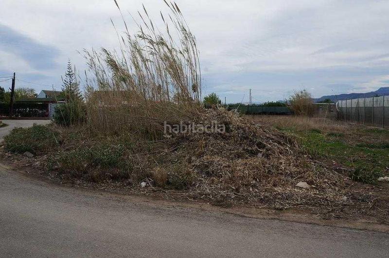 Foto 74f28178-1f99-4428-8de0-694d32fc4c1b. Terrain résidentiel dans sector prr-8 s/n dans El Marenyet Cullera