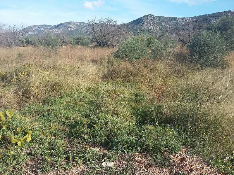 Foto 421d0a3a-1a71-4171-9698-c1ea415649f8. Landgut in pozo de gabriel 20 in Santa Magdalena de Pulpis