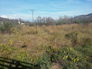 Propriété à Pozo de gabriel 20. Terreno en venta