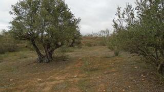Terrain rsidentiel en Sector residencial iv-poligono 1-quer-va 50. Terreno en venta