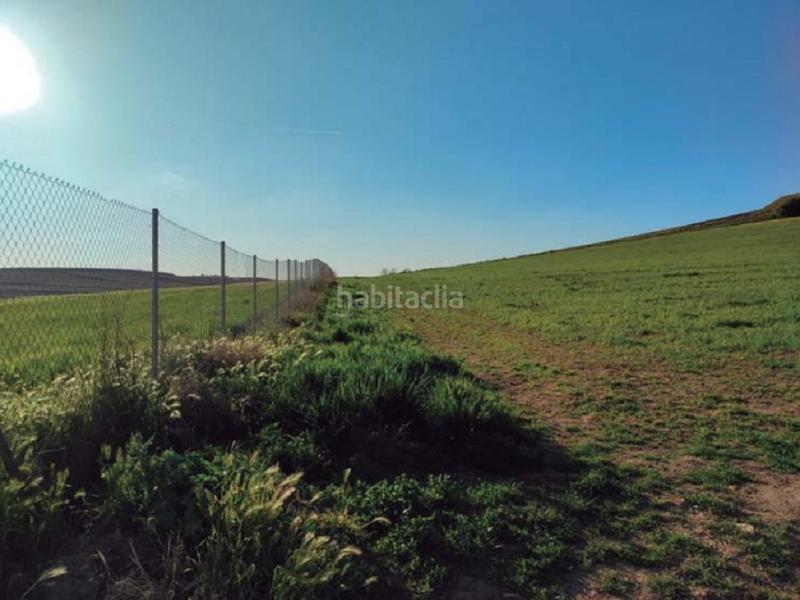 Foto 1756add1-1683-4695-b4e6-00b3fbcbbfc5. Finca rústica terreno en venta en Ajalvir