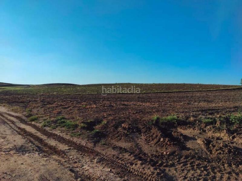 Foto 434d0815-2d22-4b09-b3f1-e82c699f8425. Finca rústica terreno en venta en Ajalvir