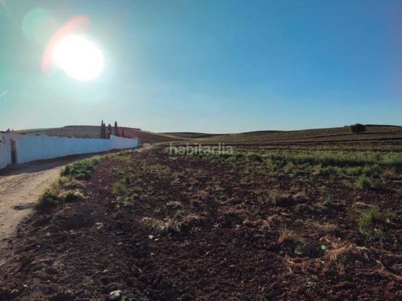 Foto 7f8af227-12b7-4adb-be07-8acfaab20889. Finca rústica terreno en venta en Ajalvir