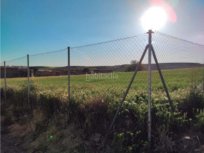 Foto ef1a89c9-f5ab-40fb-881c-8648e13cead9. Finca rústica terreno en venta en Ajalvir