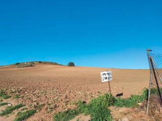 Landgut in El tordo, poligono 10 9. Terreno en venta