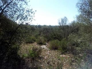 Finca rústica a Son gual-e 12. Terreno en venta