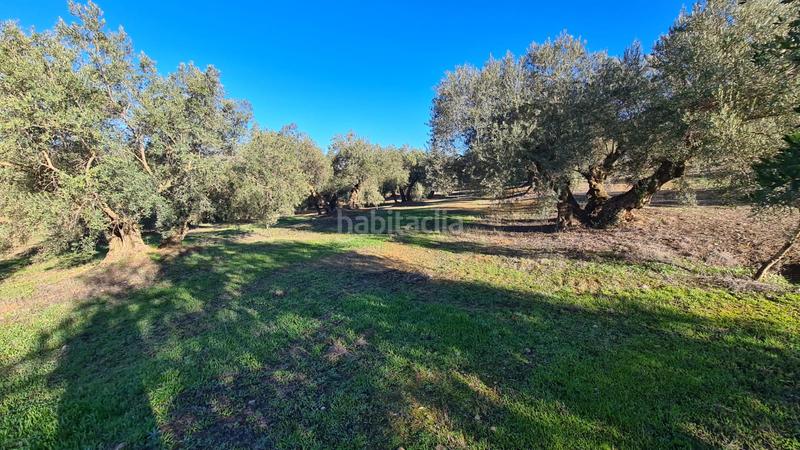 Foto 14ead258-7707-4c12-97fe-a04b30743d78. Finca rústica a Loja