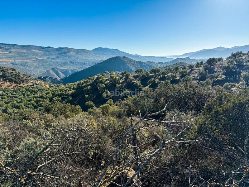 Foto 4610fb7a-c004-42f5-964b-d6c120bd9af4. Finca rústica a Loja