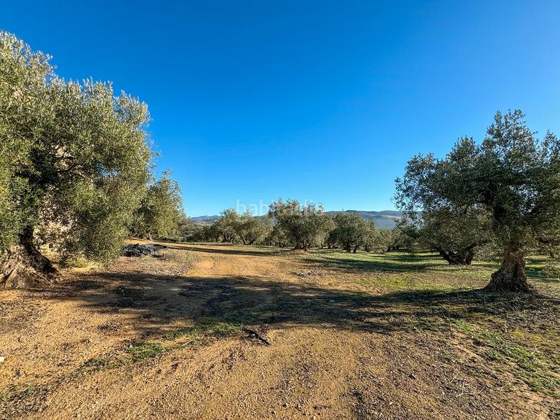 Foto 49f1a6f8-2120-48f8-8a01-ad65c635fc3e. Finca rústica a Loja